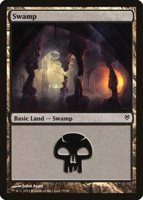Swamp