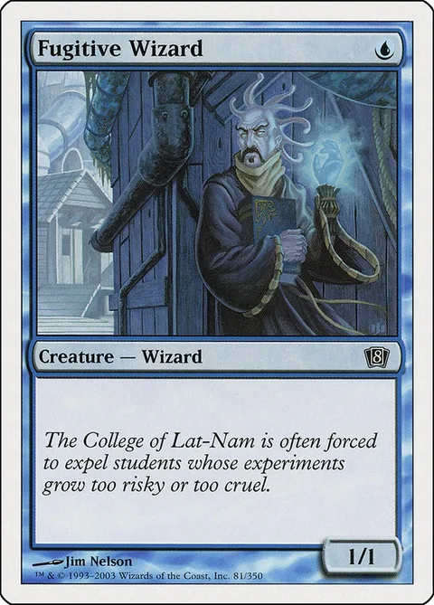 Fugitive Wizard