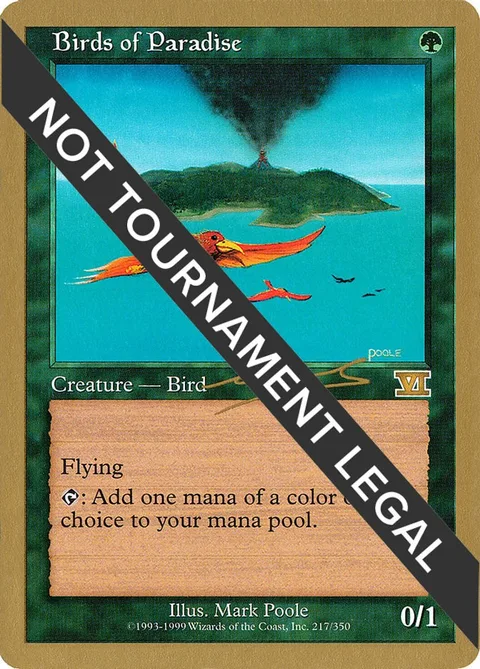 Birds of Paradise
