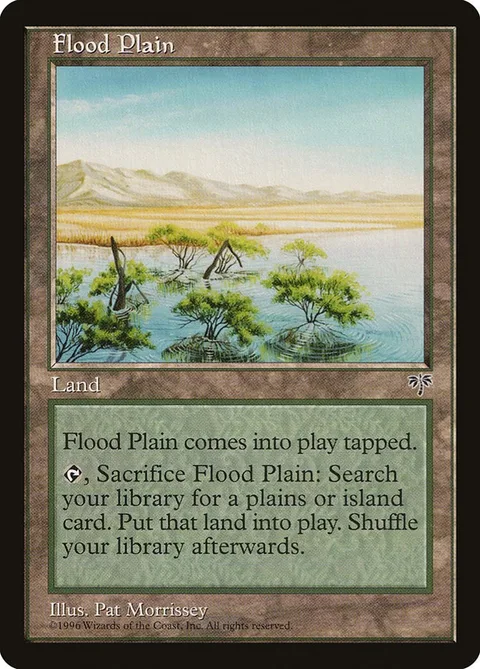 Flood Plain