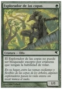 Treetop Scout