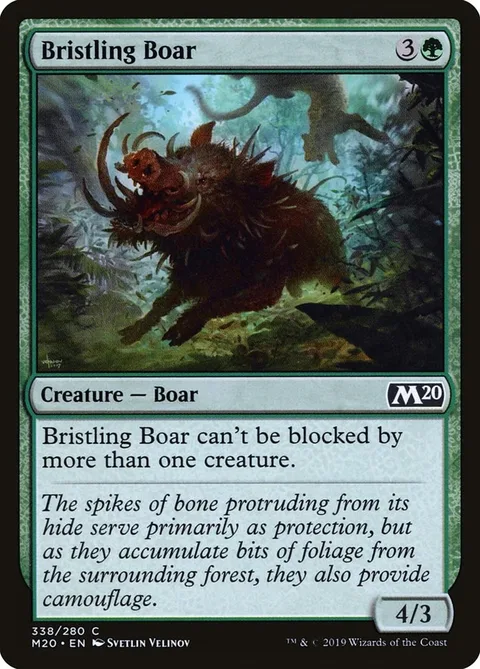 Bristling Boar