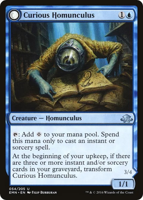 Curious Homunculus / Voracious Reader