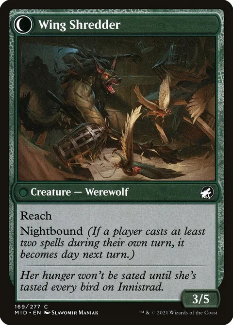Bird Admirer // Wing Shredder – Rückseite