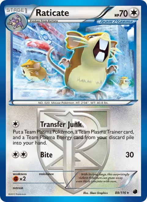 Raticate [Transfer Junk | Bite]