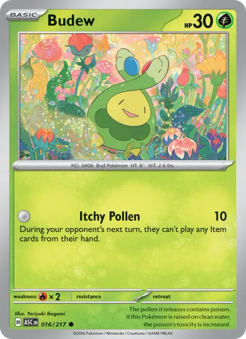 Budew [Itchy Pollen]