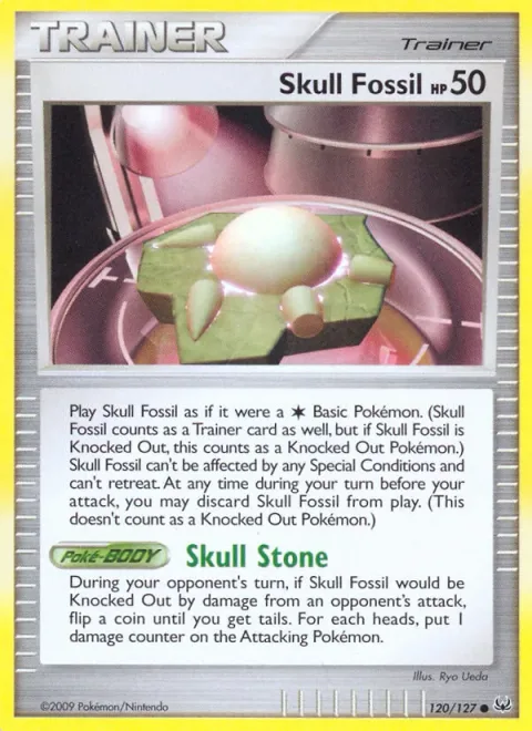 Skull Fossil [Skull Stone]