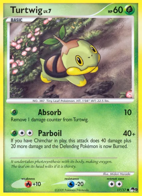 Turtwig Lv.7 [Absorb | Parboil]