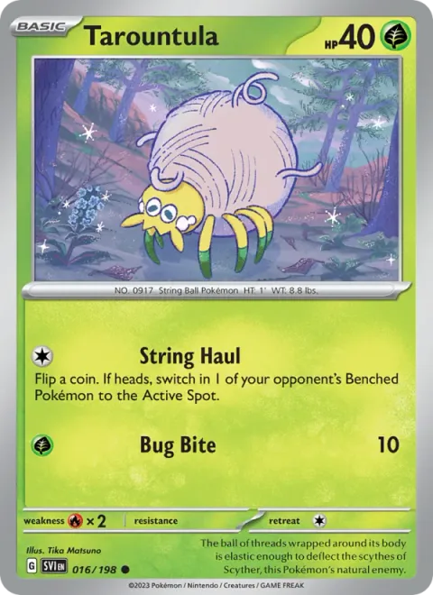 Tarountula [String Haul | Bug Bite]