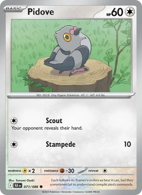 Pidove [Scout | Stampede]