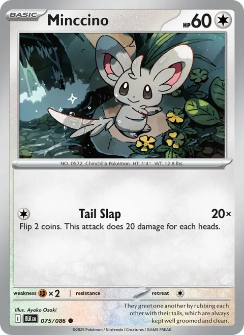 Minccino [Tail Slap | SV]