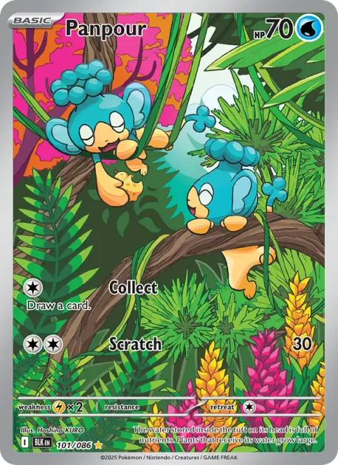 Panpour [Collect | Scratch | SV]