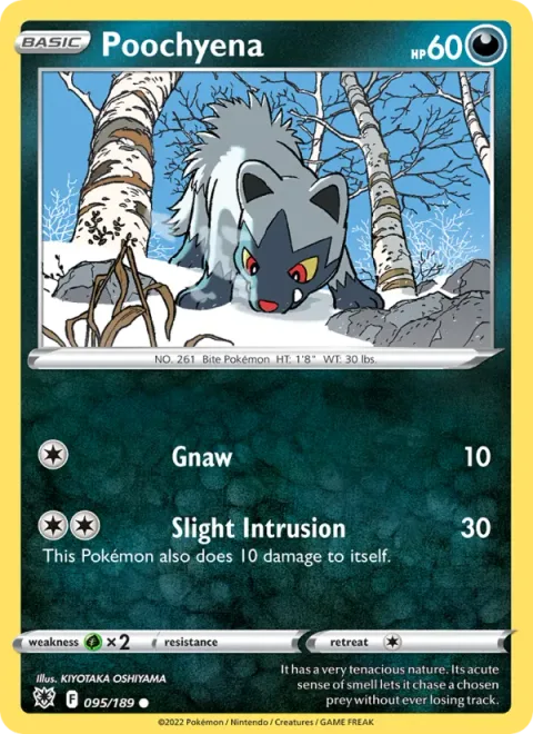 Poochyena [Gnaw | Slight Intrusion]