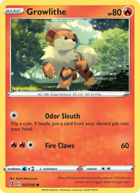 Growlithe [Odor Sleuth | Fire Claws]