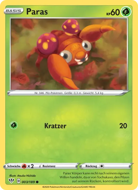 Paras [Scratch | DAA]