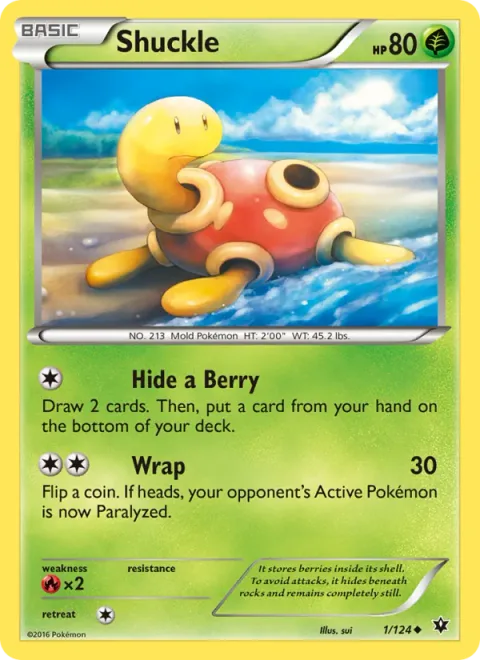 Shuckle [Hide a Berry | Wrap]