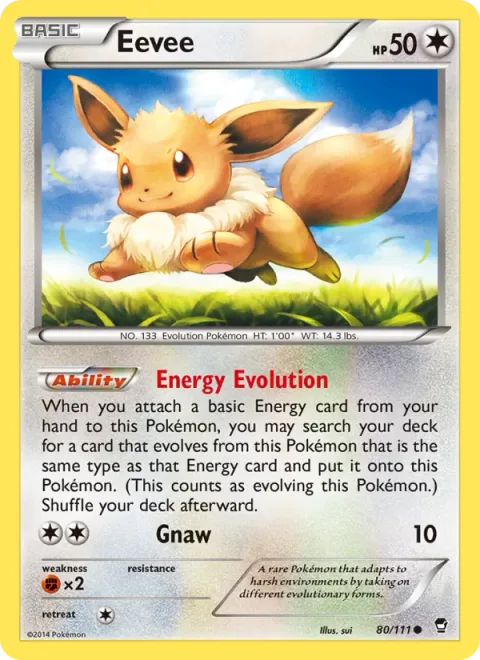 Eevee [Energy Evolution | Gnaw]