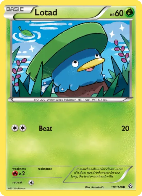 Lotad [Beat]
