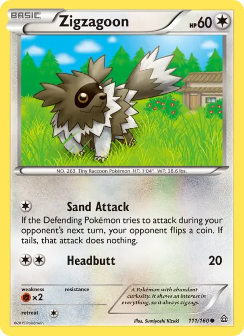 Zigzagoon [Sand Attack | Headbutt]