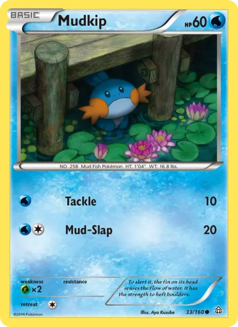 Mudkip [Tackle | Mud-Slap]