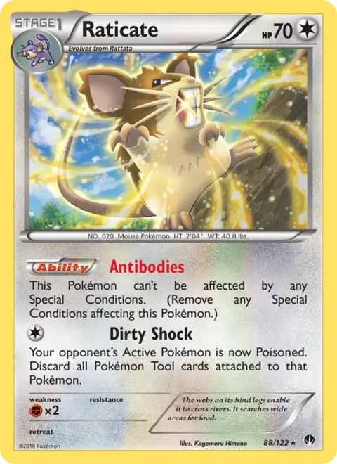 Raticate [Antibodies | Dirty Shock]