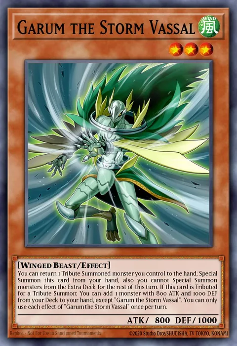Garum the Storm Vassal