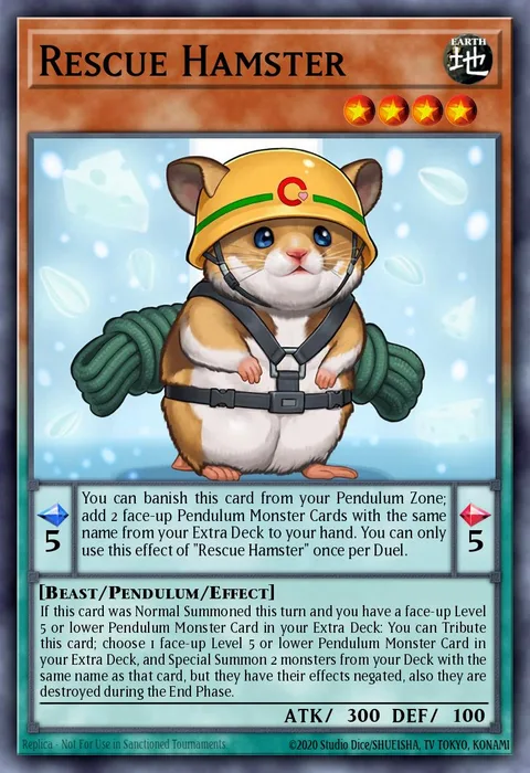 Rescue Hamster
